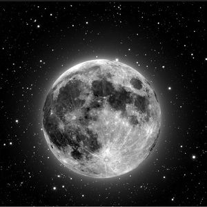 Meet your Posher, Mickey